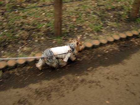 DSCN2005