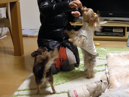 DSCN2191