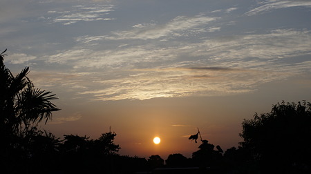 DSC00582