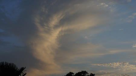 DSC00590
