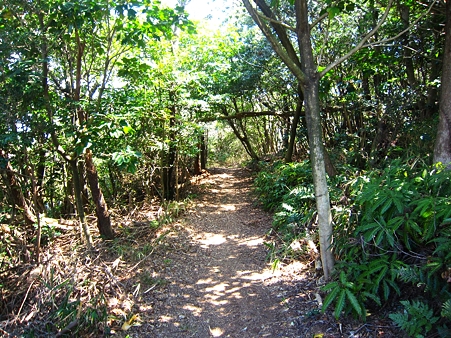 聖崎公園