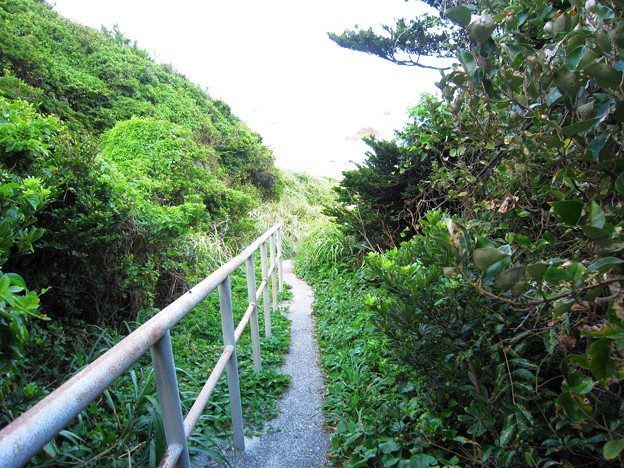 渥美半島