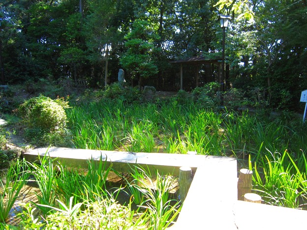 無量寿寺