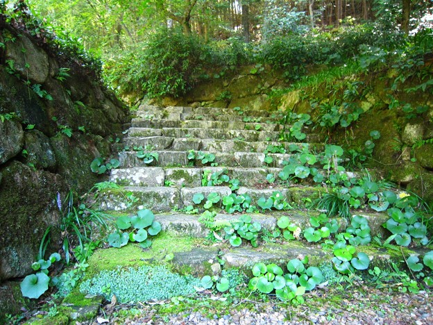 松平郷