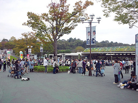 sdc2011_1