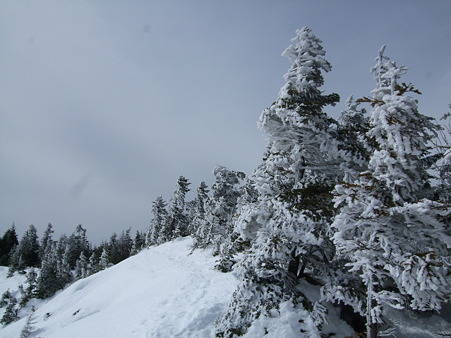 DSCF9268