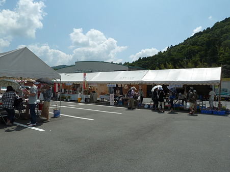 佐用ひまわり2011 039