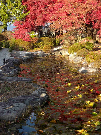 秋のお寺