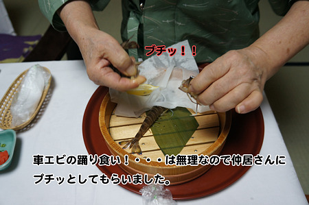 DSC01161_org