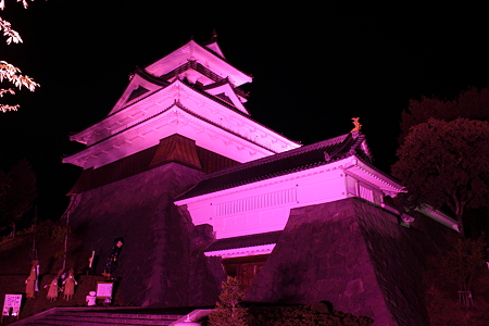 ピンクリボンフェスタ　上山城