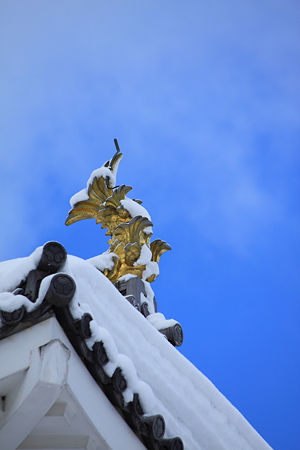 雪に埋まって苦しいしゃちほこ