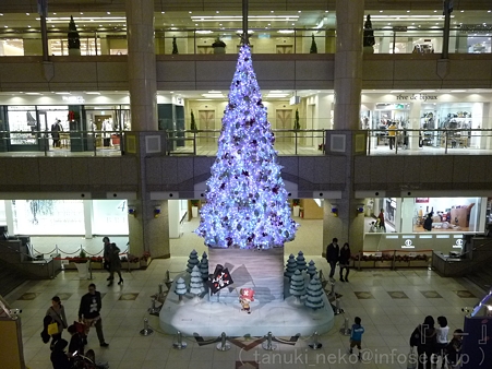 111122-ランドマークタワー ツリー (9)