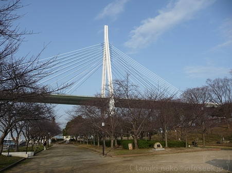 120306-天保山 (6)