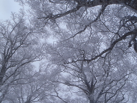 2012040120