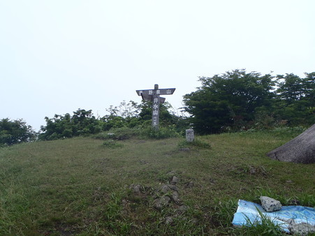 12070817