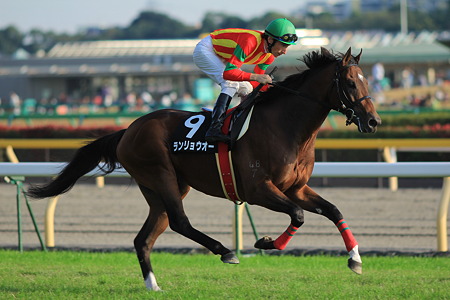 ランリョウオー 返し馬