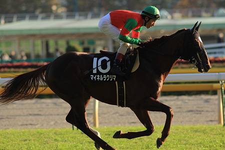 マイネルラクリマ 返し馬