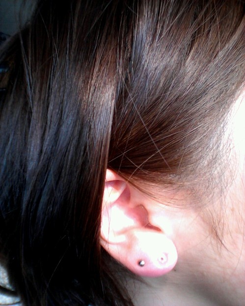 やっとスムーズにとーぴはい 写真共有サイト フォト蔵