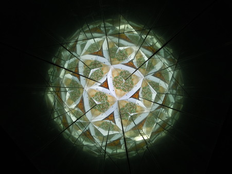 DSCN2100