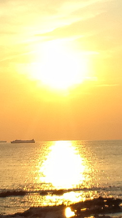 お台場海浜庭園