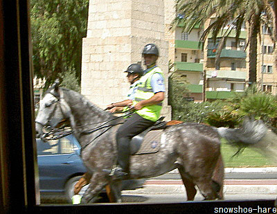 マルタの騎馬警官