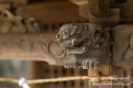 穂高神社 EOS7D EF50 F1.4