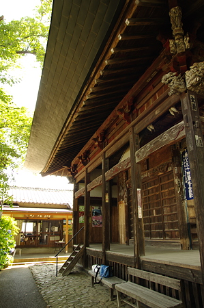 IMGP1205