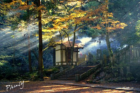 光がそそぐ納札所・・