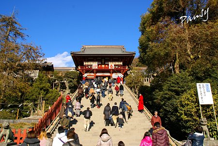 本宮への大石段・・鶴岡八幡宮・・14