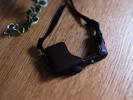 RIMG0207