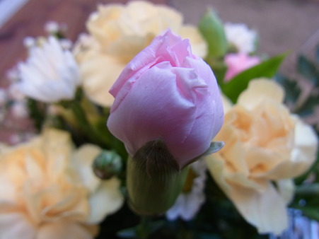RIMG0383