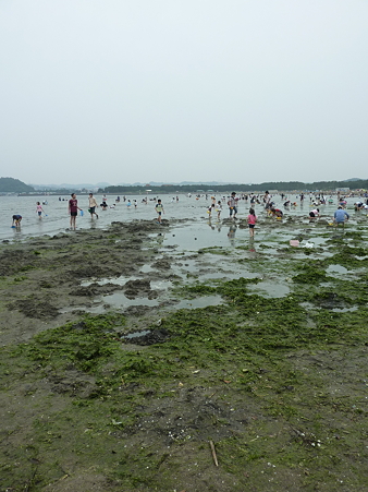 P1090411
