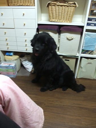 怖いです・・・