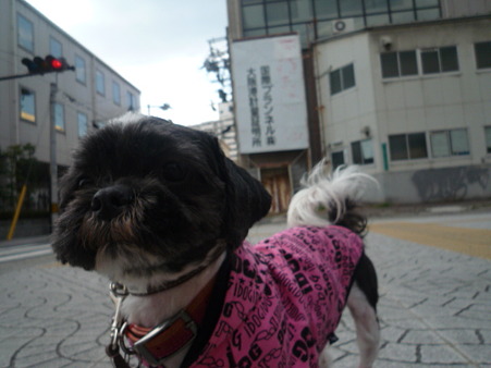 可愛いお顔してるんです