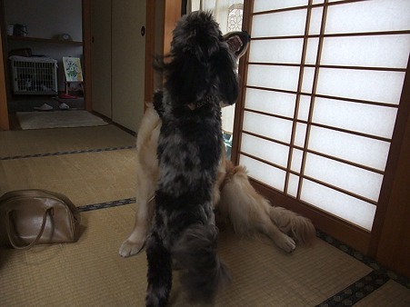 ・・・おもしろい(=^w^)