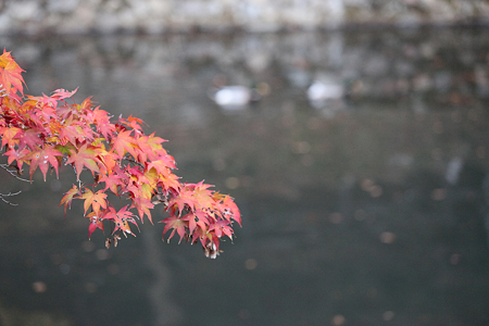 円通寺 - 15