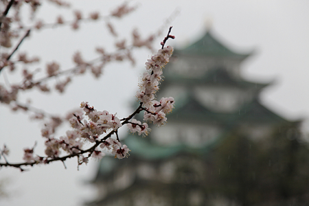 名古屋城 - 003