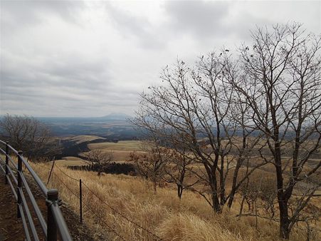 DSCN0525