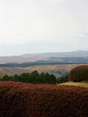 DSCN0594