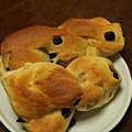 Photos: ブルーベリーのパン