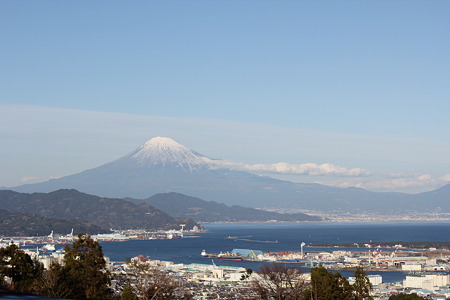 日本平から望む富士
