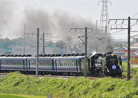 D51(2)
