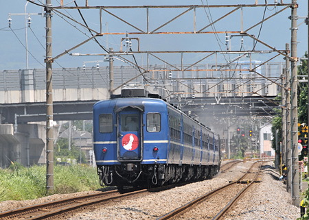 D51(5)