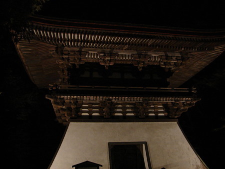 DSC06317