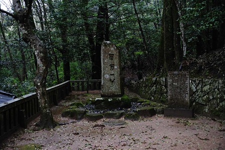 1104271538_DSC_0242