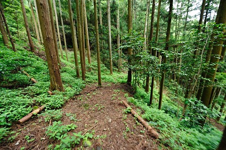 1106231234_DSC_2302