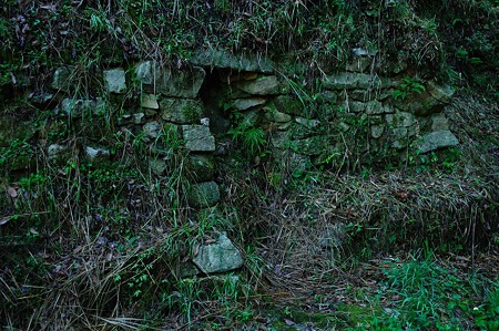 1107120719_DSC_5376