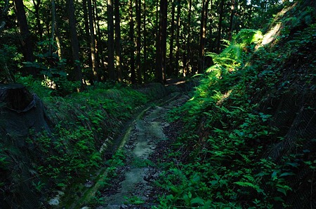1107120743_DSC_5484