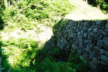 1107120753_DSC_5520