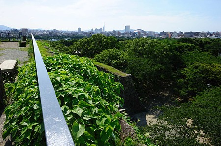 1107121531_DSC_3374